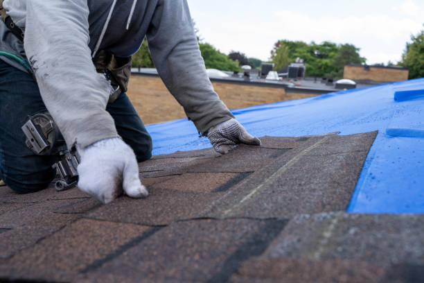 Best New Roof Installation  in Jackson, MI