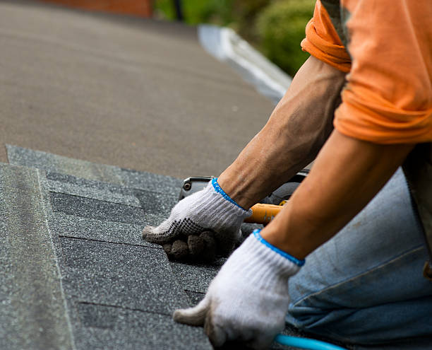 Best Slate Roofing Contractor  in Jackson, MI