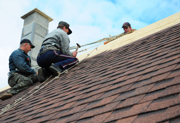 Quick and Trustworthy Emergency Roof Repair Services in Jackson, MI